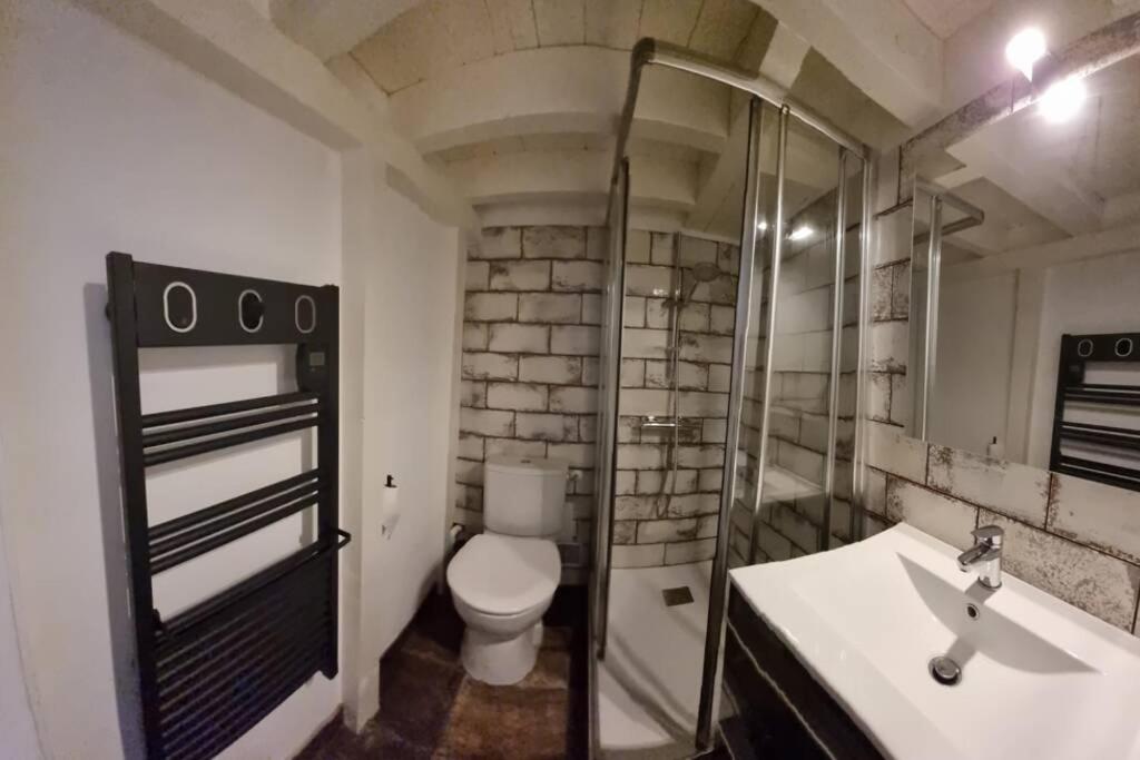 T1 Bis Cosy- Hypercentre - Clim - Metro - Wifi Διαμέρισμα Τουλούζη Εξωτερικό φωτογραφία