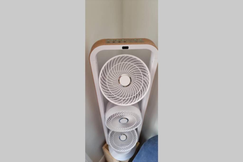 T1 Bis Cosy- Hypercentre - Clim - Metro - Wifi Διαμέρισμα Τουλούζη Εξωτερικό φωτογραφία