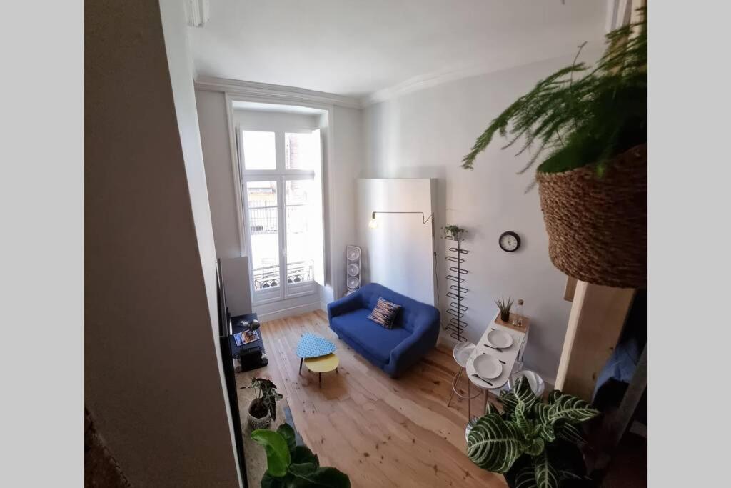 T1 Bis Cosy- Hypercentre - Clim - Metro - Wifi Διαμέρισμα Τουλούζη Εξωτερικό φωτογραφία